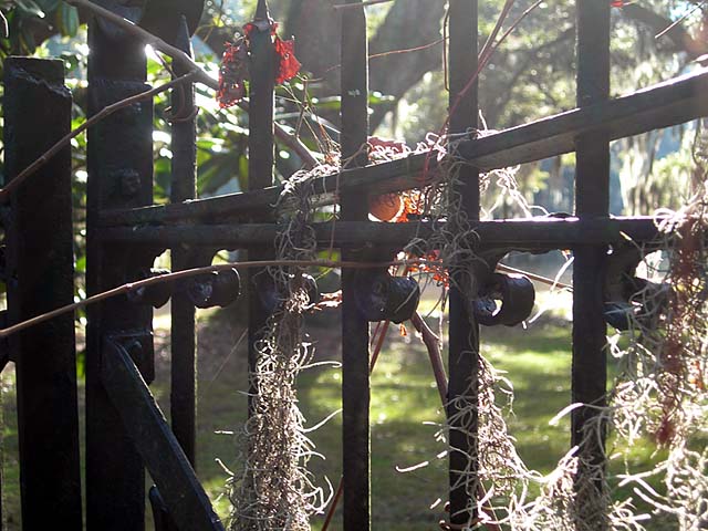 platation gate