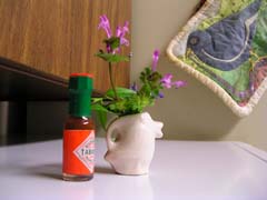 hot sauce and flowers 