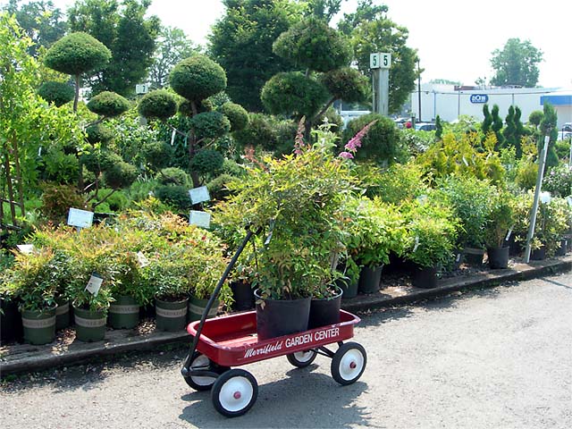 plants in wagon