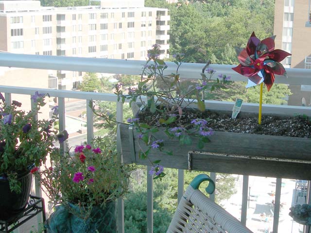 Balcony pinwheel